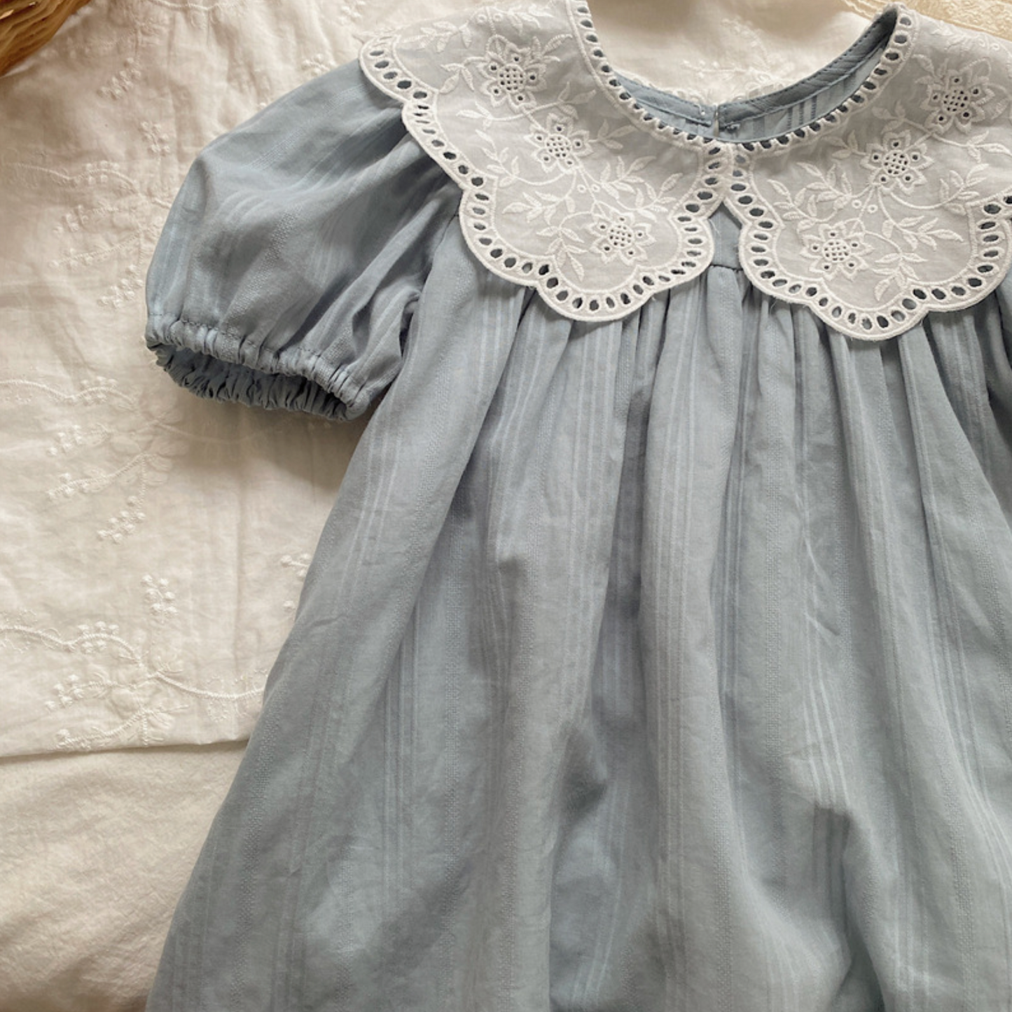 Vintage Lace Collar Dress