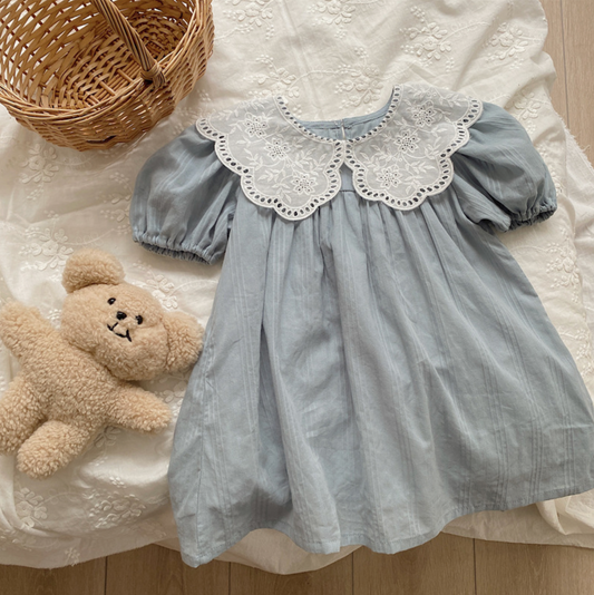 Vintage Lace Collar Dress
